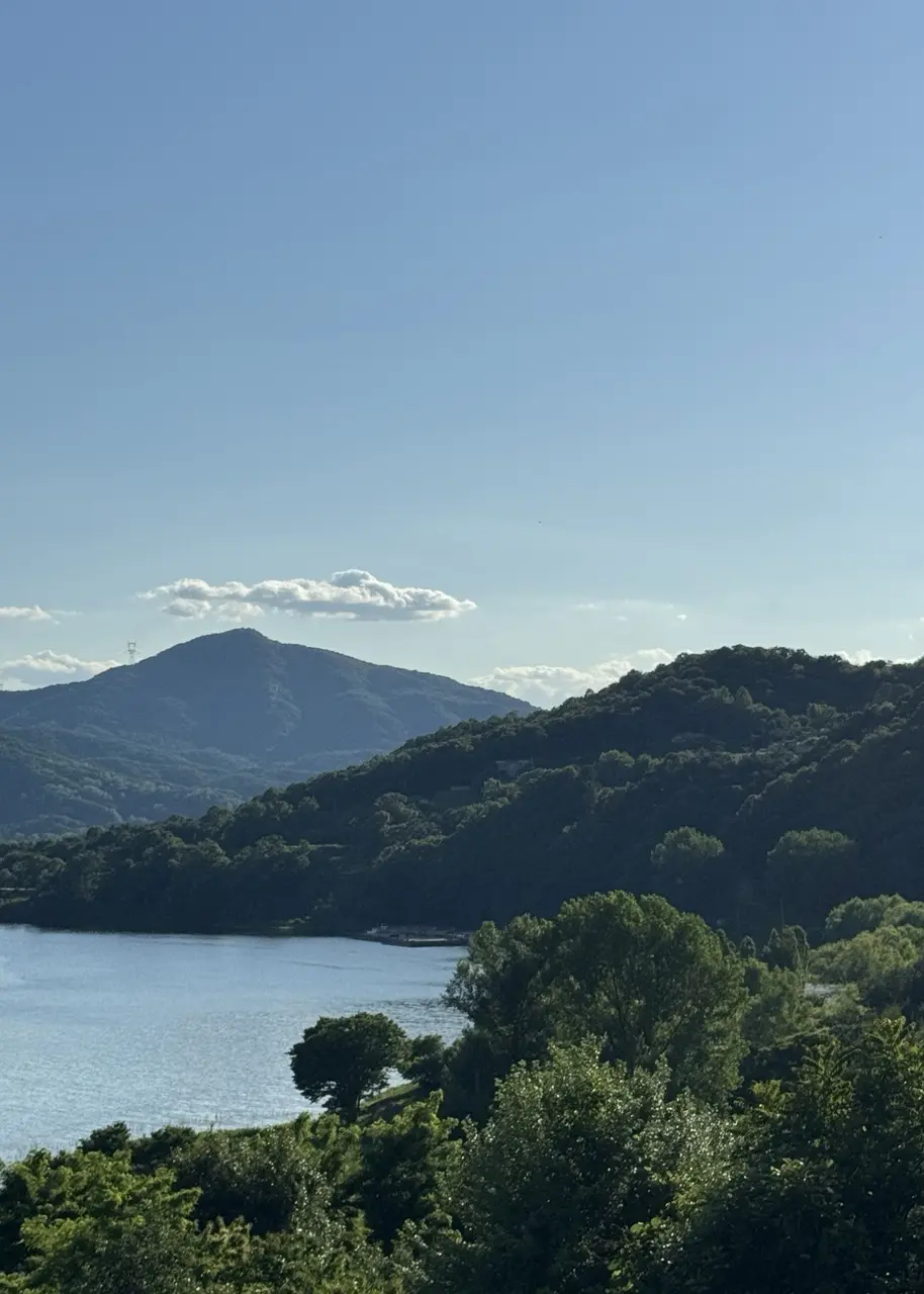Nature 8